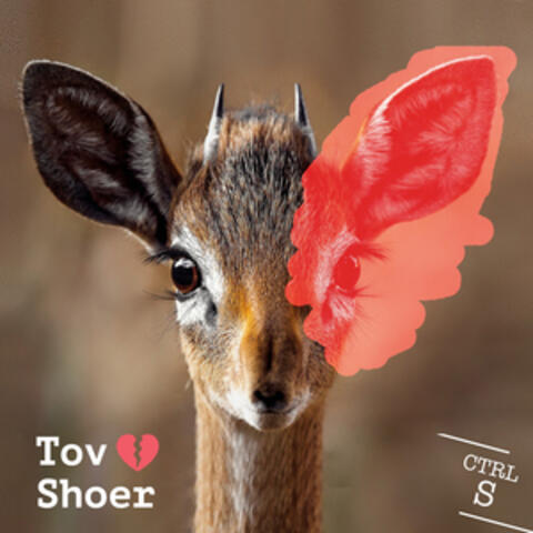 Tov Shoer