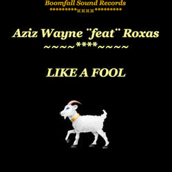 Like a Fool