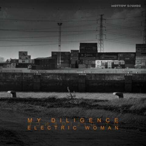 Electric Woman