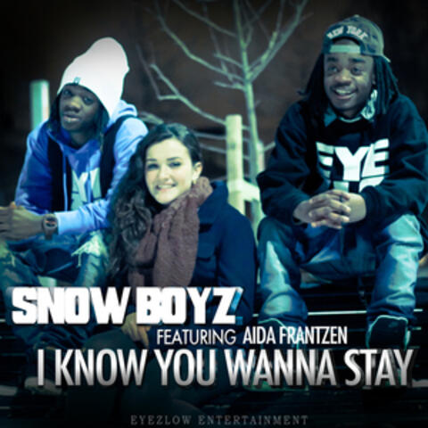 I Know You Wanna Stay (feat Aida Frantzen)