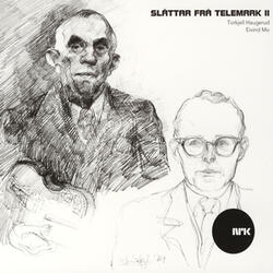 Skinnarlanden (Springar) [Etter Håvard Gibøen]
