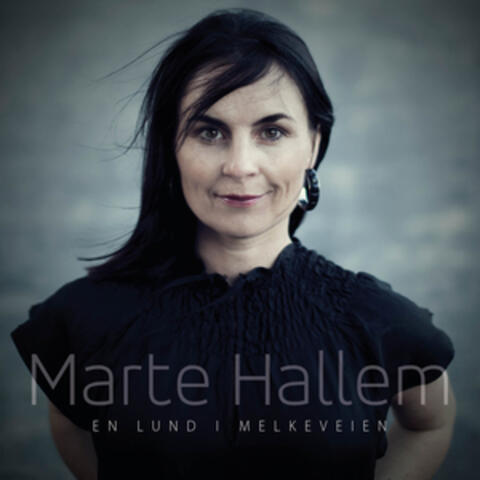 En Lund I Melkeveien