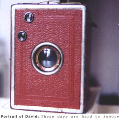 Portrait of David