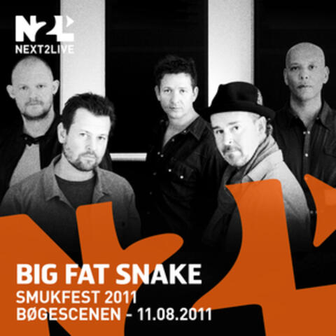 Smukfest 2011