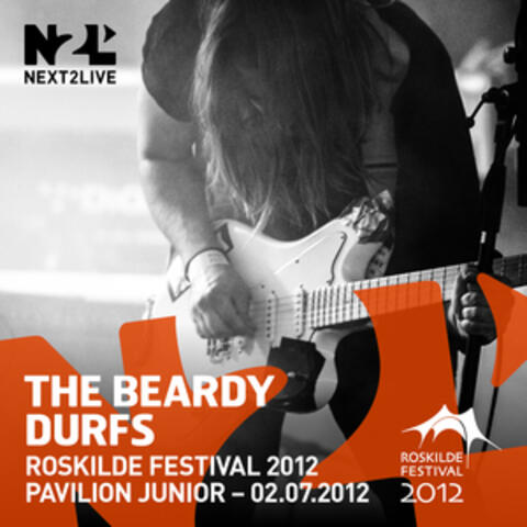 Roskilde Festival 2012