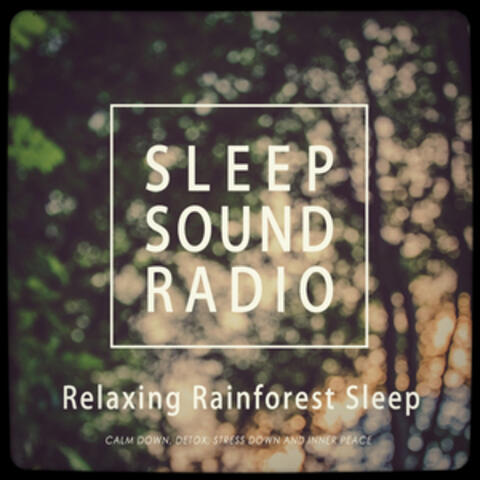 Sleep Sounds (Relaxing Rainforest Sleep)