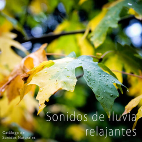 Catálogo de Sonidos Naturales