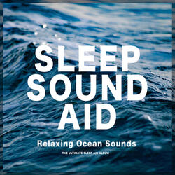 Ocean Sounds: Moving Waves