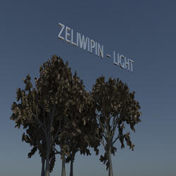 Light