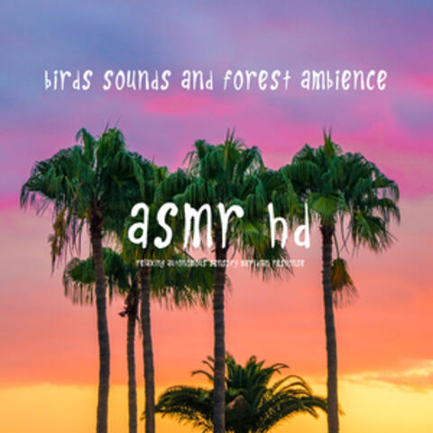 ASMR HD