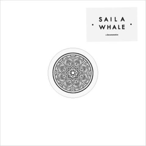 Sail A Whale