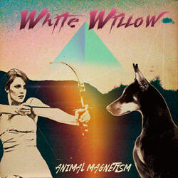 Animal Magnetism