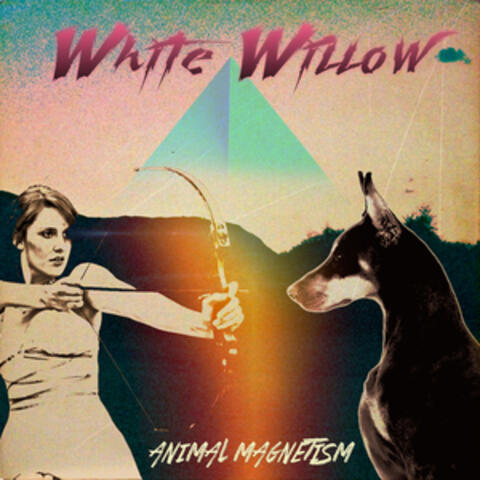 Animal Magnetism
