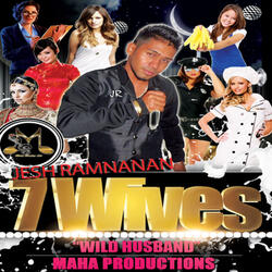 Seven Wives (Wild Husband)
