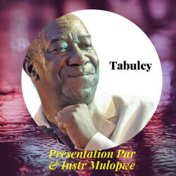 Presentataion Par & Instr Mulopwe
