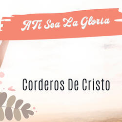 La Amargura de un Error