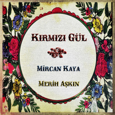 Kırmızı Gül