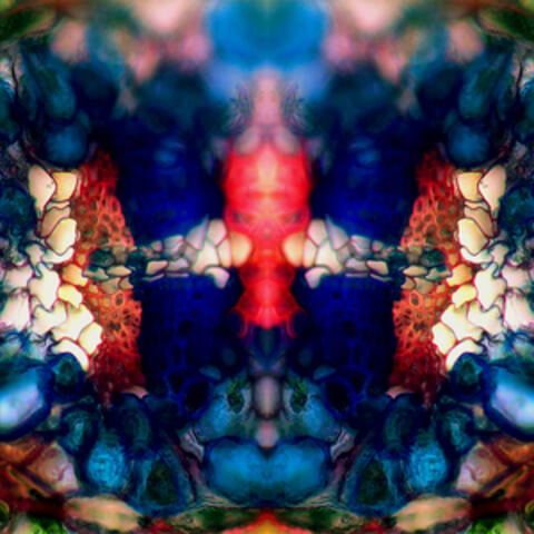 Boomerang (Synthomania Remix)