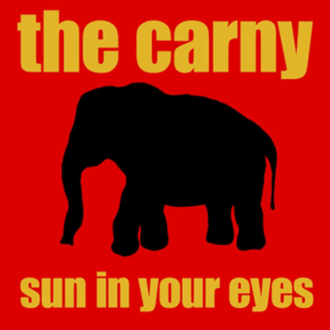 Sun in Your Eyes (Single)