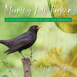 Morning Has Broken (Reprise)