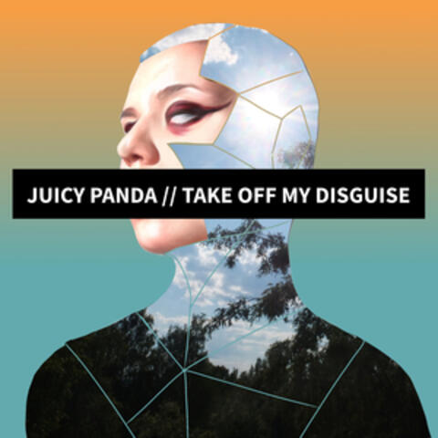 Take off My Disguise