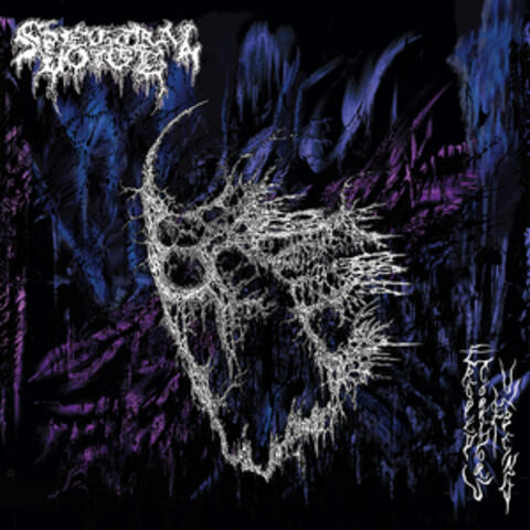 Eroded Corridors of Unbeing