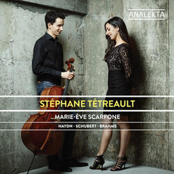 Sonata in A Minor "Arpeggione" for Cello and Piano, D. 821: I. Allegro moderato