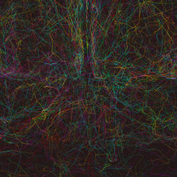 Functional Systems