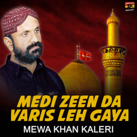 Medi Zeen Da Varis Leh Gaya