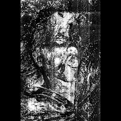 Languish in Mindset
