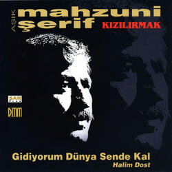 Kar Yağdı Yollarına