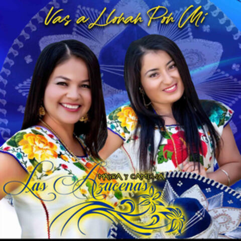 Vas a Llorar por Mí