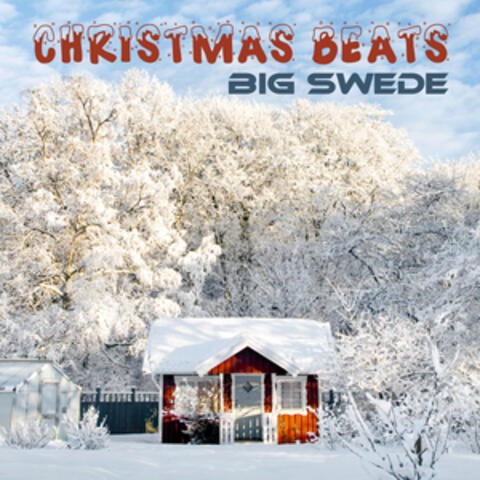 Christmas Beats