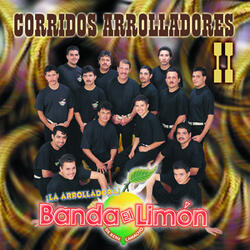 Zancudo Boludo