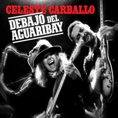 Debajo del Aguaribay