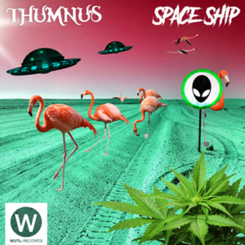 Space Ship