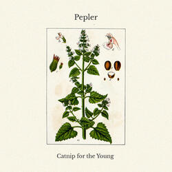 Selene Says (Carpe Diem)