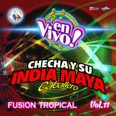 Fusión Tropical, Vol. 11. Música de Guatemala para los Latinos