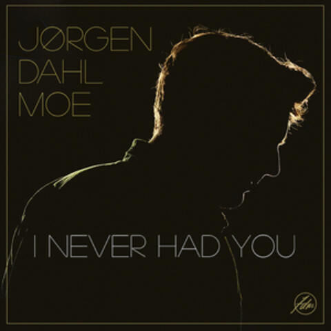 I Never Had You