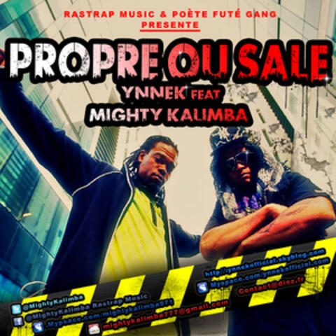 Propre Ou Sale (feat. Ynnek)