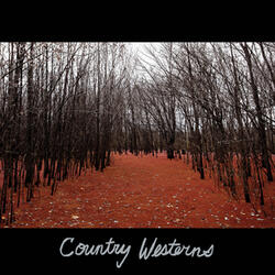 Two Characters in Search of a Country Song