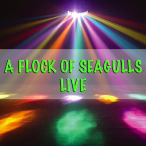 A Flock Of Seagulls - Live