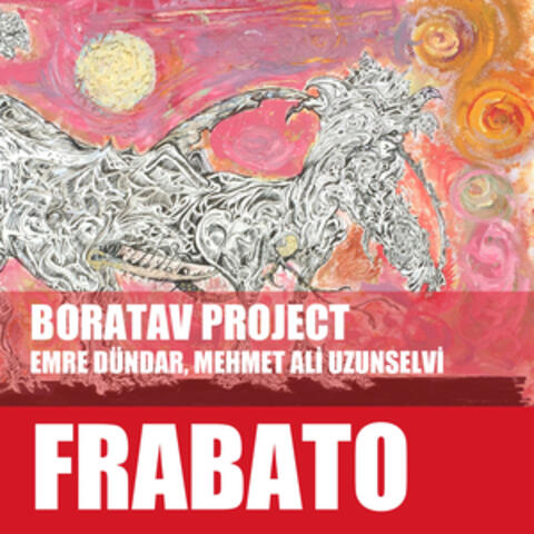 Boratav Project