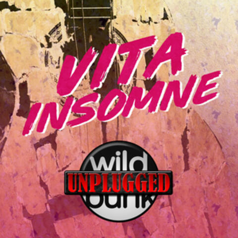 Unplugged At Wild Punk Records