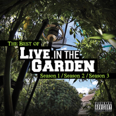 The Best of Live in the Garden