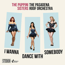 I Wanna Dance with Somebody