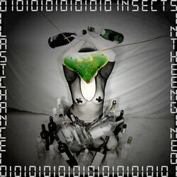 Insects in the Engine