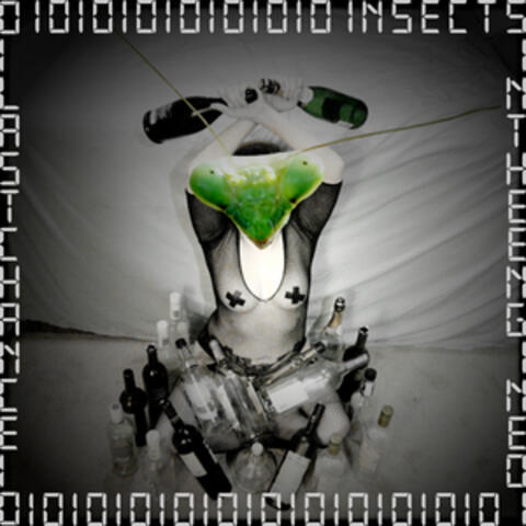 Insects in the Engine