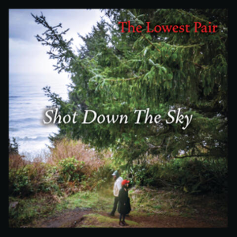 Shot Down the Sky