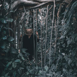 Kings of Nowhere